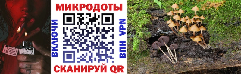 купить наркотики сайты  Ивдель  МЕГА ссылка  Галлюциногенные грибы мицелий 